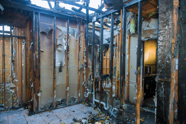 Professional Smoke Damage Removal technician working in Hunter, OH